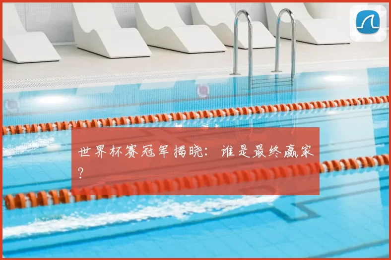 世界杯赛冠军揭晓:谁是最终赢家?