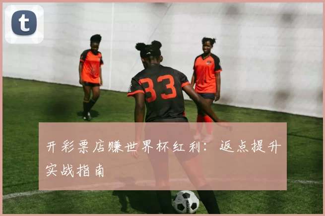 开彩票店赚世界杯红利：返点提升实战指南