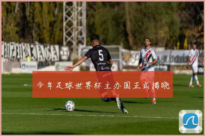 今年足球世界杯主办国正式揭晓