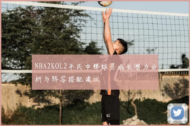 NBA2KOL2平民中锋球员成长潜力分析与阵容搭配建议