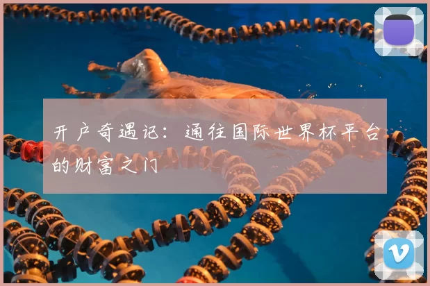 开户奇遇记:通往国际世界杯平台的财富之门