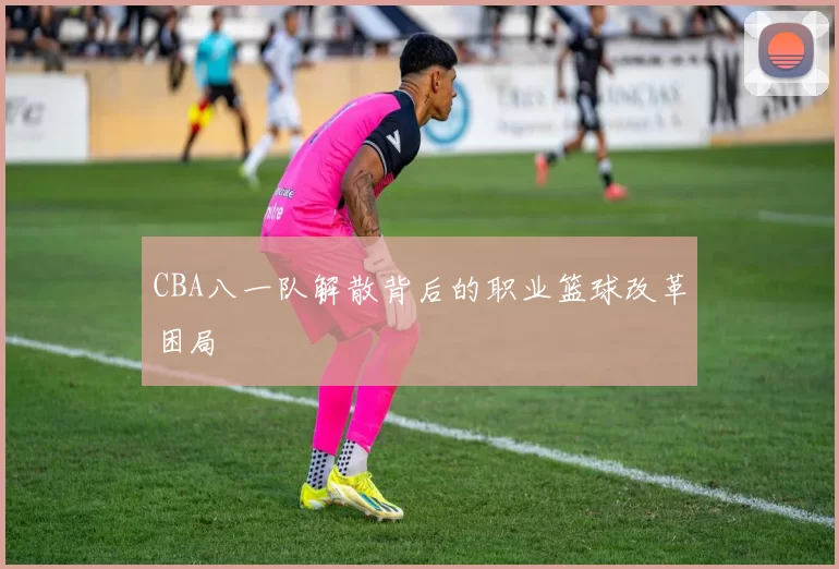 CBA八一队解散背后的职业篮球改革困局