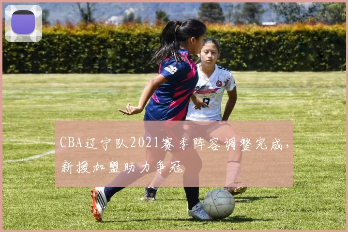 CBA辽宁队2021赛季阵容调整完成,新援加盟助力争冠