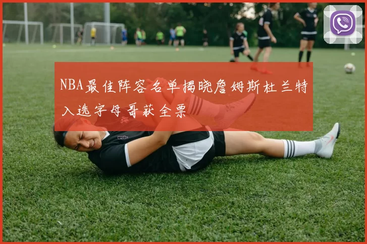 NBA最佳阵容名单揭晓詹姆斯杜兰特入选字母哥获全票