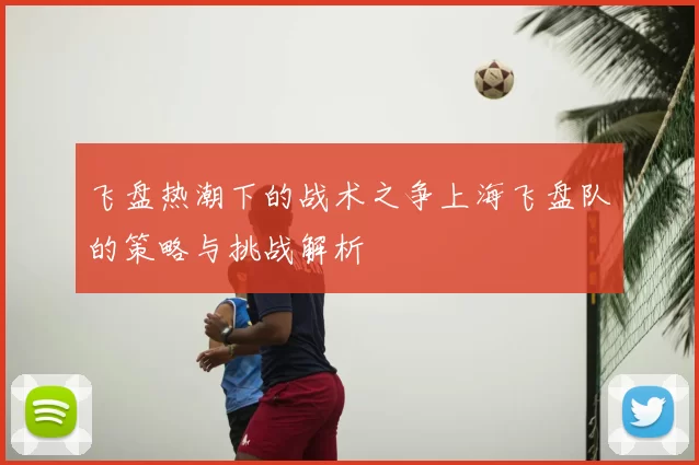 飞盘热潮下的战术之争上海飞盘队的策略与挑战解析