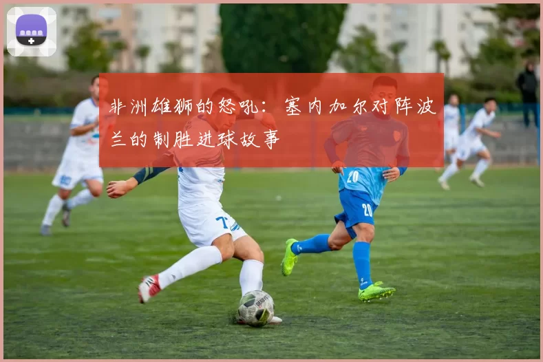 非洲雄狮的怒吼:塞内加尔对阵波兰的制胜进球故事