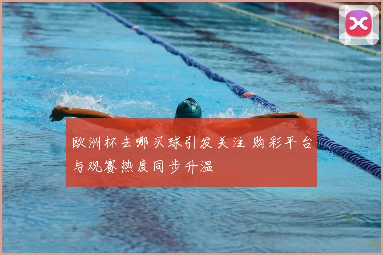 欧洲杯去哪买球引发关注 购彩平台与观赛热度同步升温