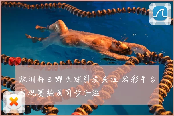 欧洲杯去哪买球引发关注 购彩平台与观赛热度同步升温