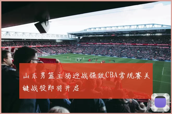 山东男篮主场迎战强敌CBA常规赛关键战役即将开启